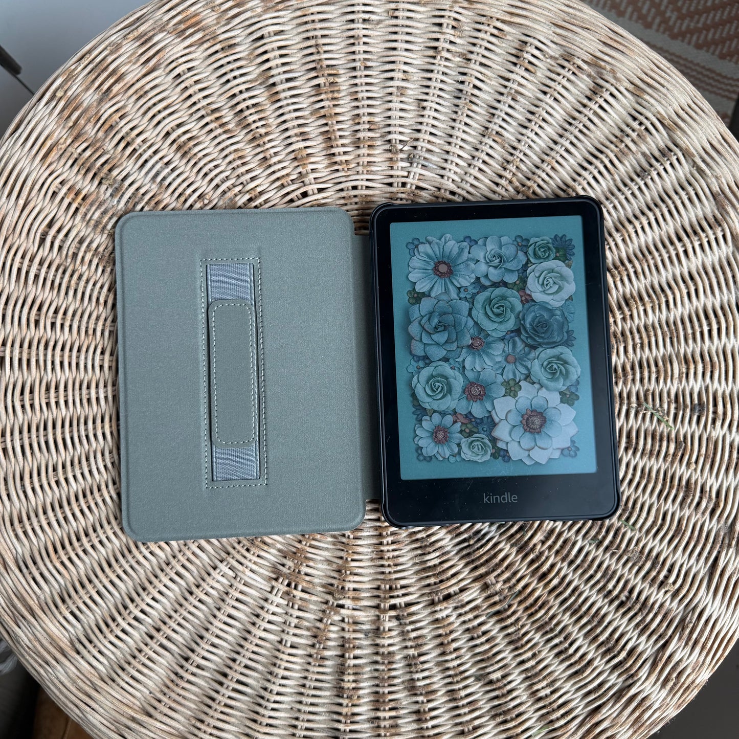 Wild Thing Monstera Kindle Case | Full or Clear Back
