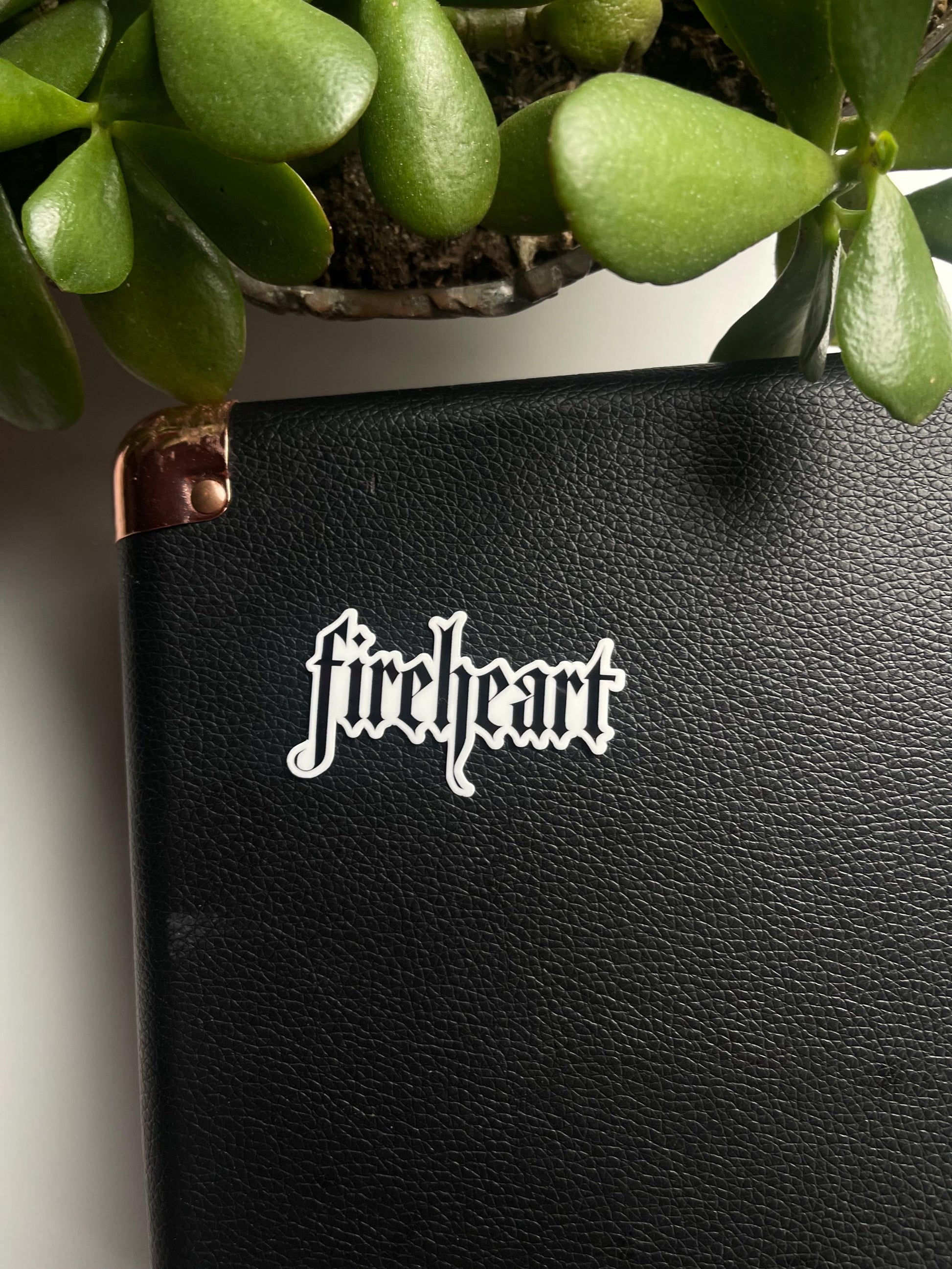 Black leather notebook with 'fireheart' sticker, surrounded by green succulents.
