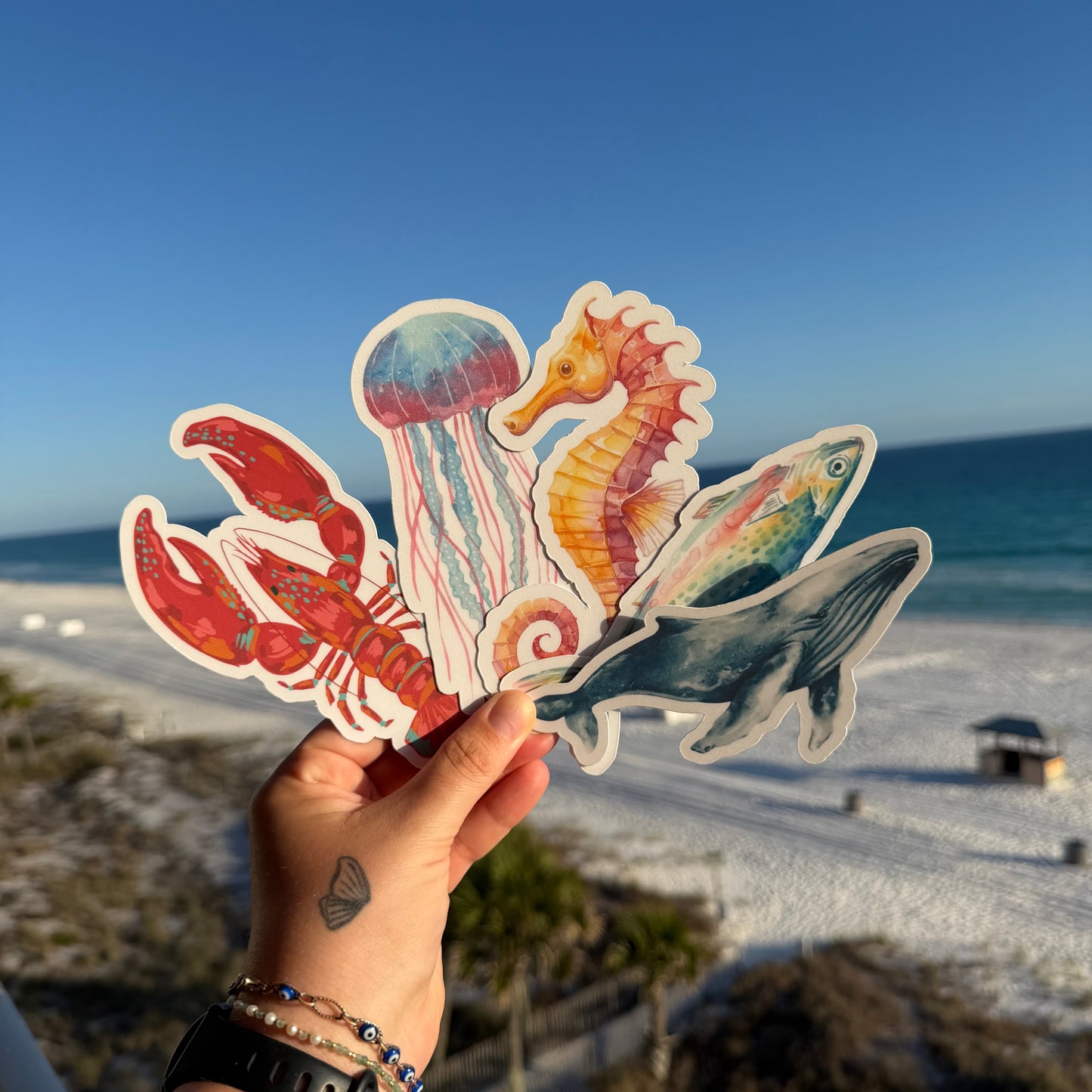 lobster jellyfish seahore sardine and whale bookmarks being held up against a beach background